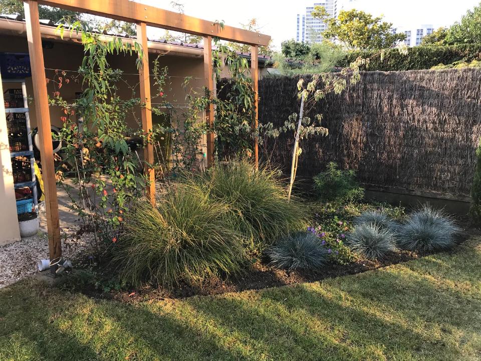 Jardin avec plantes et structure